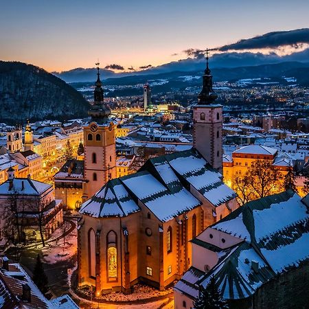 Komfortny Apartman So Zahradou A Sukromnym Parkoviskom-Nonstop Check-In Banská Bystrica Buitenkant foto