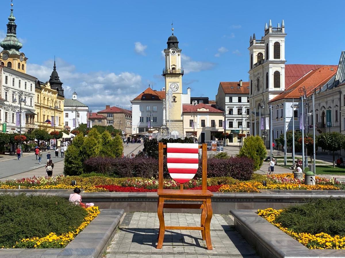 Komfortny Apartman So Zahradou A Sukromnym Parkoviskom-Nonstop Check-In Banská Bystrica Buitenkant foto